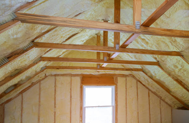 Best Specialized Insulation Services in Webster, SD