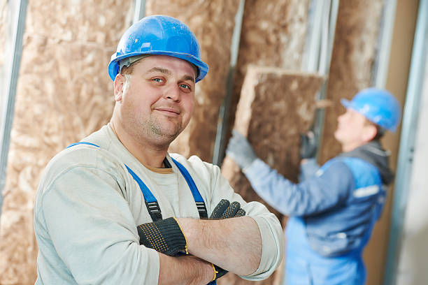Best DIY Insulation Kits and Guidance in Webster, SD