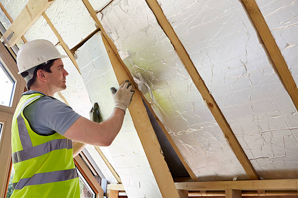 Best Residential Insulation in Webster, SD