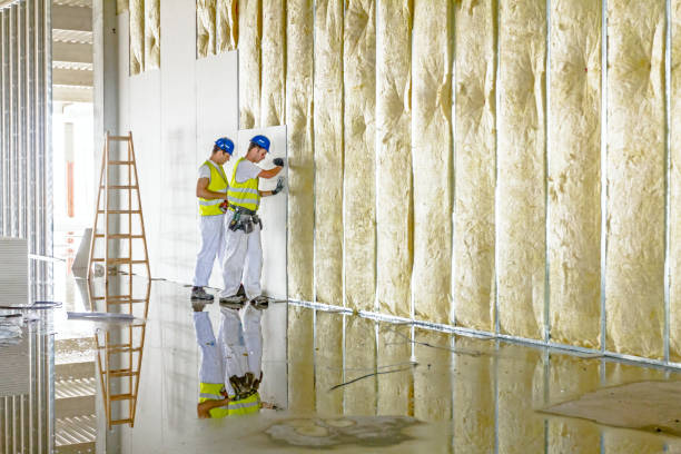 Types of Insulation We Offer in Webster, SD